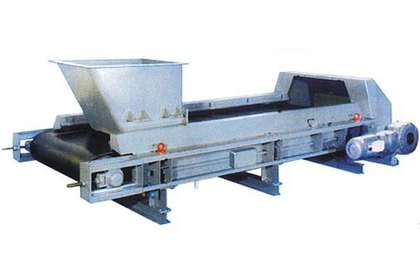 TDG(DEL)-SK系列微機調(diào)速秤